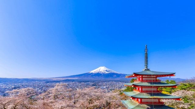 唐司 誠＠行政書士@さいたま市 tweet media