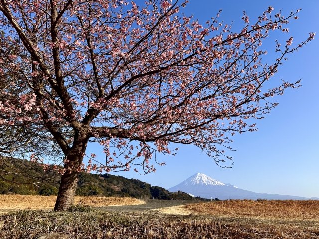 唐司 誠＠行政書士@さいたま市 tweet media