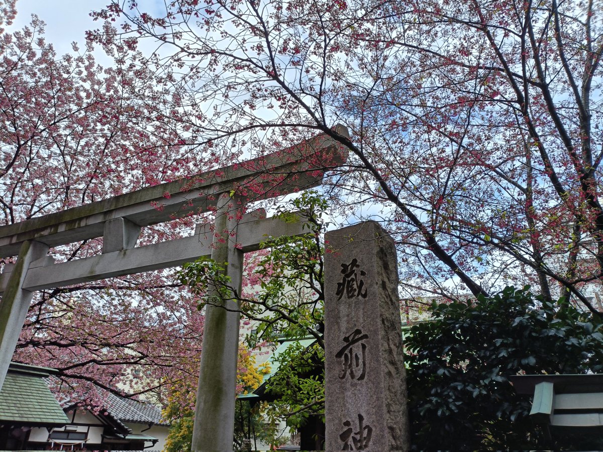 ソナタ14 tweet media