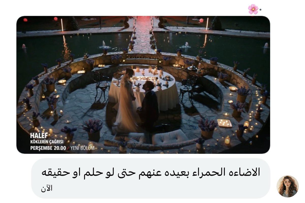 𓇢𓆸 tweet media