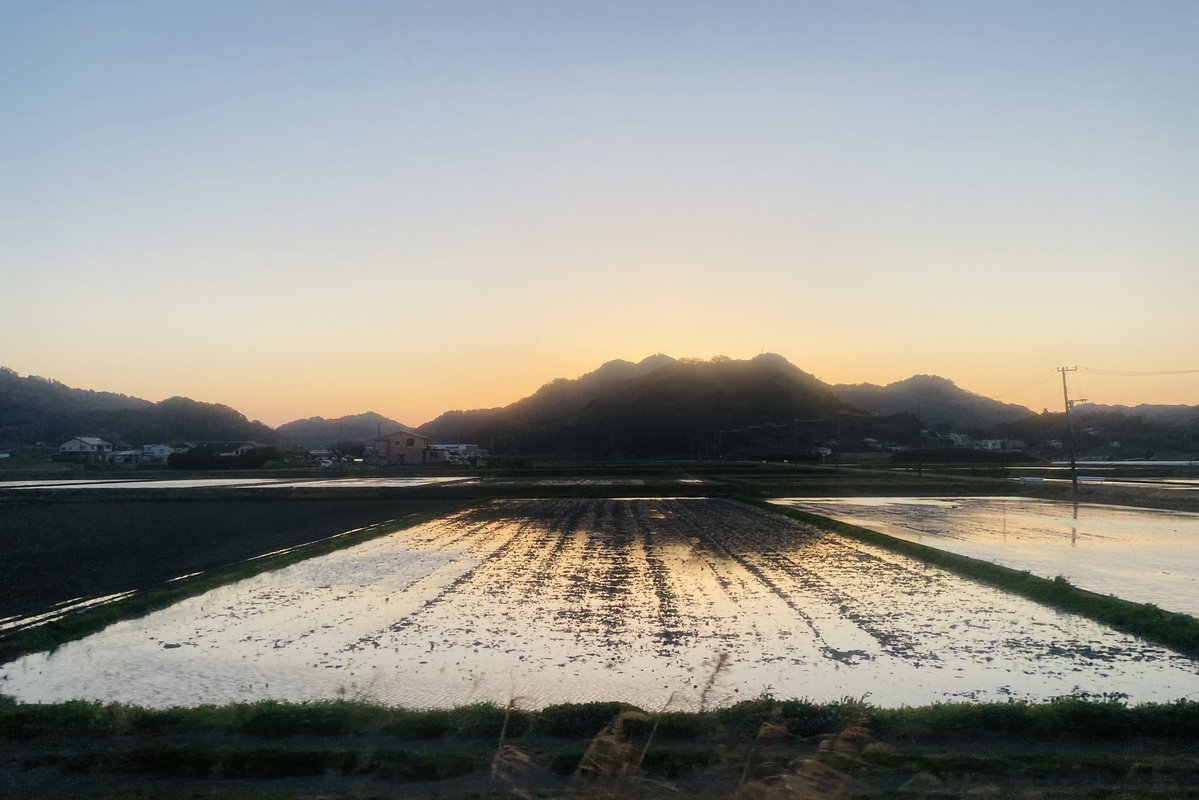 アステリズム@疾走感のある大根 a.k.a. 虫追篤 tweet media