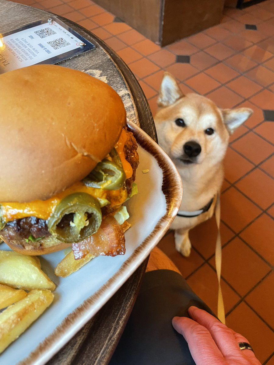 BeckeRs 🐝 tweet media