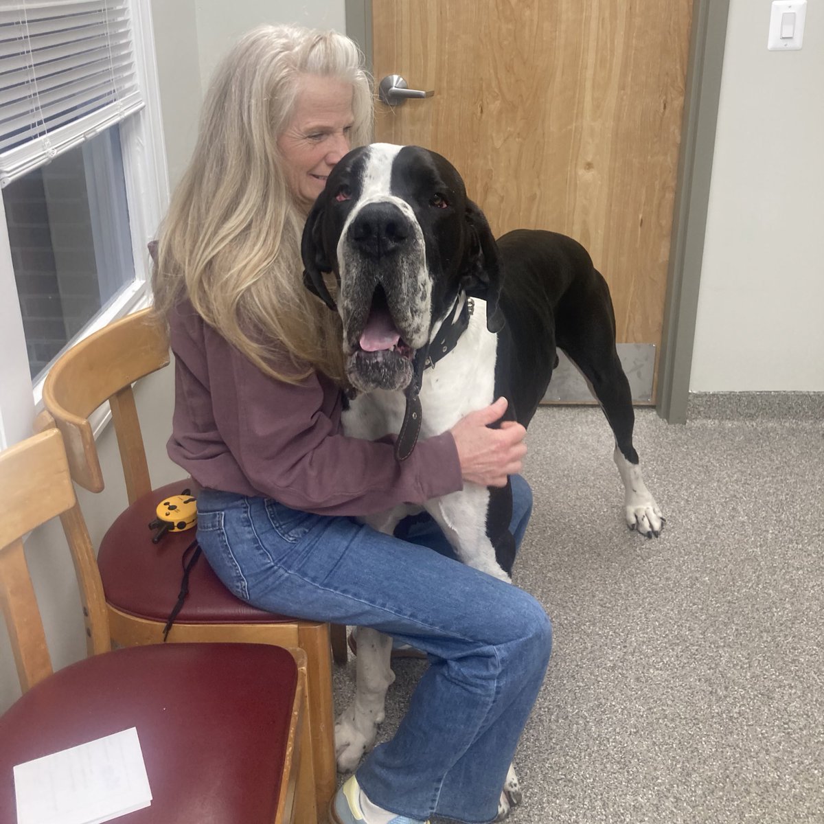 Spay Spa&Neuter Nook tweet media