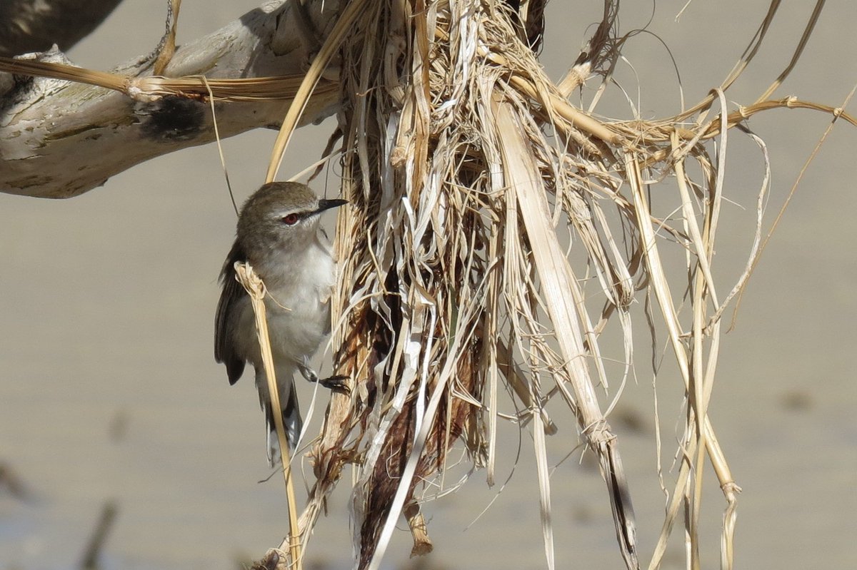 Tranquility Found tweet media