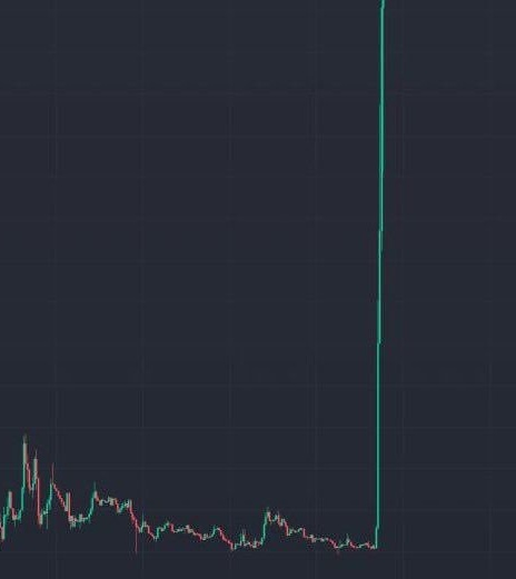 Parody / Elon Musk tweet media