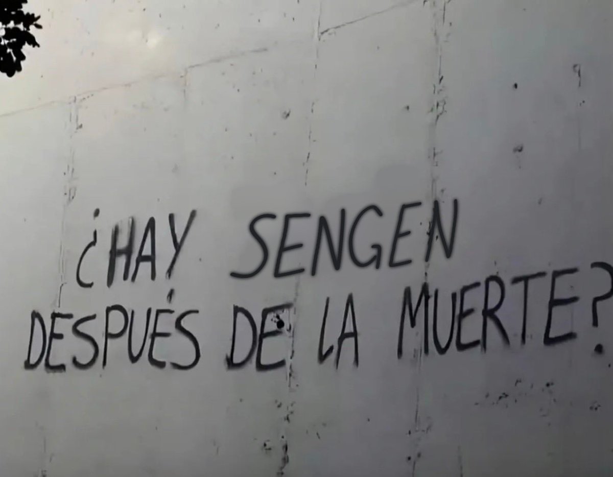 ʇɐʞ lvs uǝƃ🐇⁶⁷ tweet media