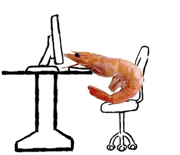 Yomisss 🦦 tweet media