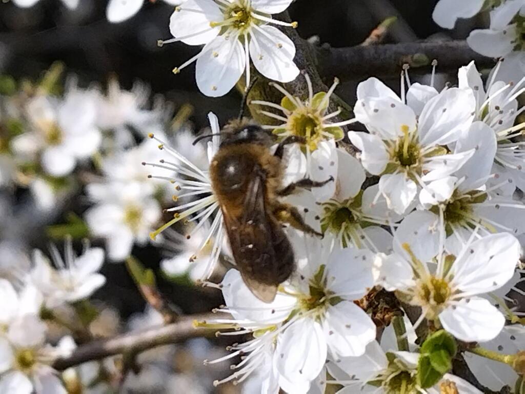 hub_observateur tweet media