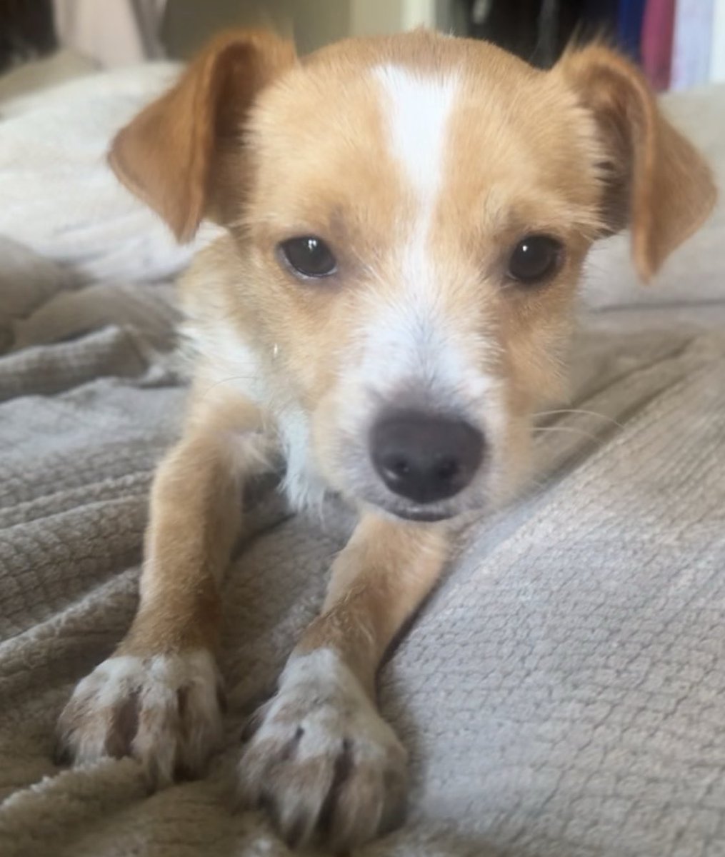 Heather Mullins tweet media