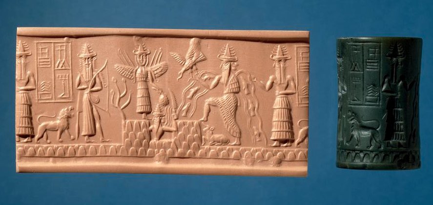 Neferchitty tweet media