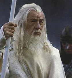 Lord of the Rings Daily tweet media