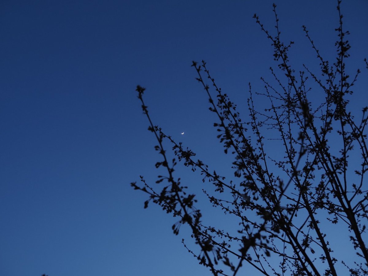 ☄️🌌🔭 ✖️Dam ⚡🌱🐙 tweet media