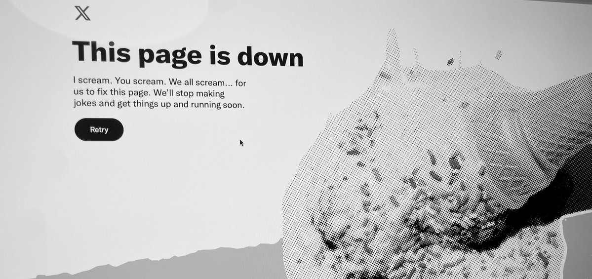 こくみん🐃🐃🛻 tweet media