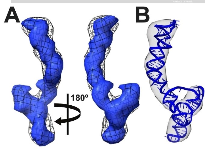 Rodrigo Aguilar tweet media