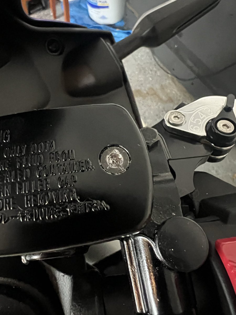 ⚢reign tweet media