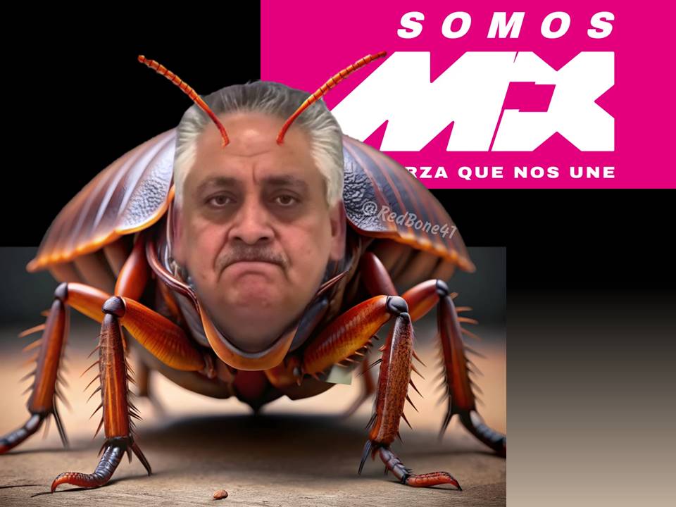 GARGAMEL tweet media