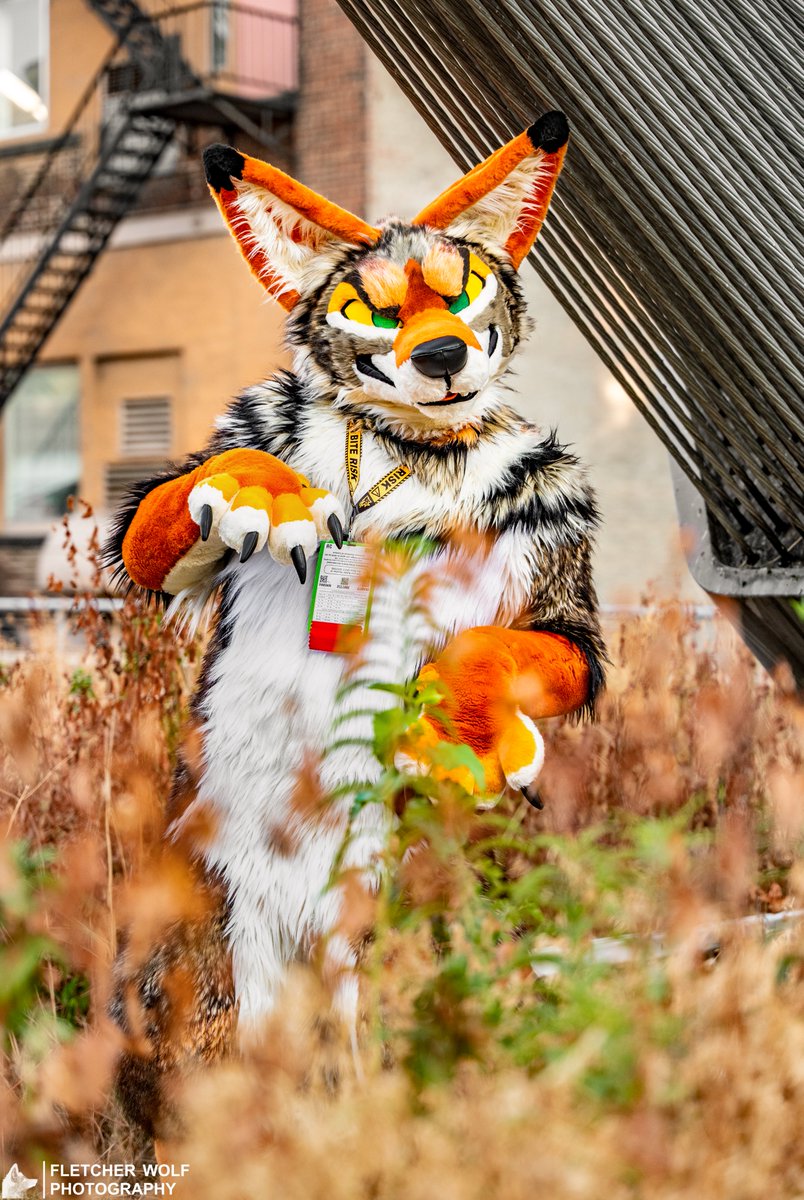 Fletcher tweet media