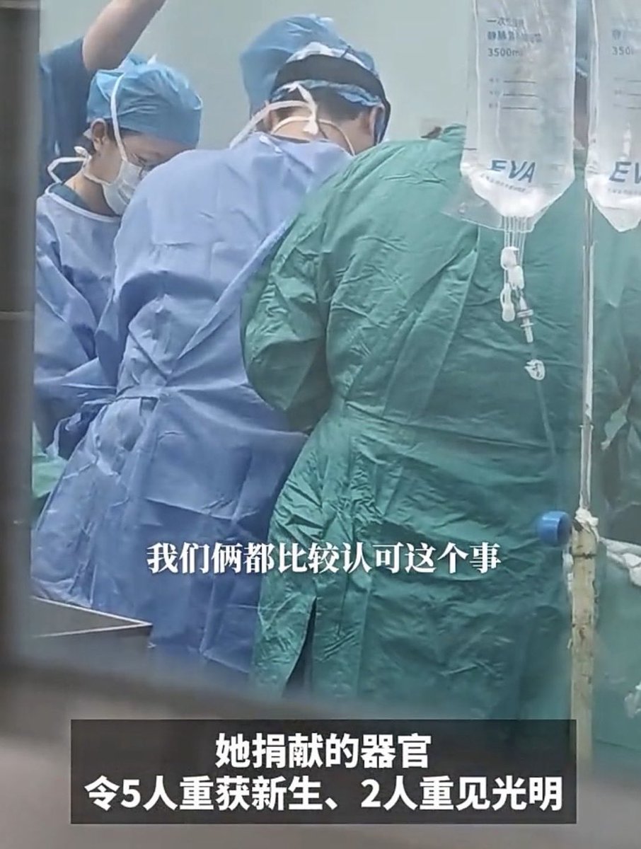 陈丹青&木心 tweet media