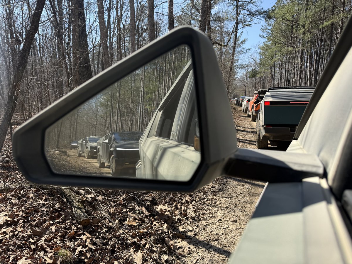 Alexander tweet media