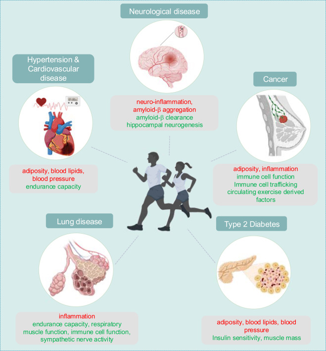 Cell Metabolism tweet media