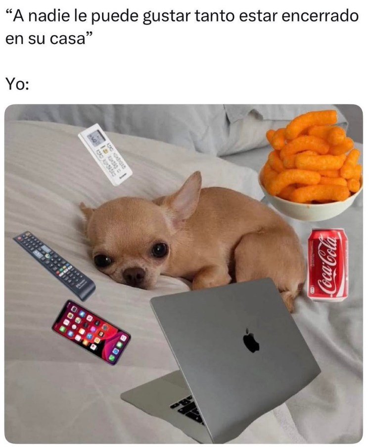 🇲🇽 México Mágico ✨ (@enmexicomagico) on Twitter photo 