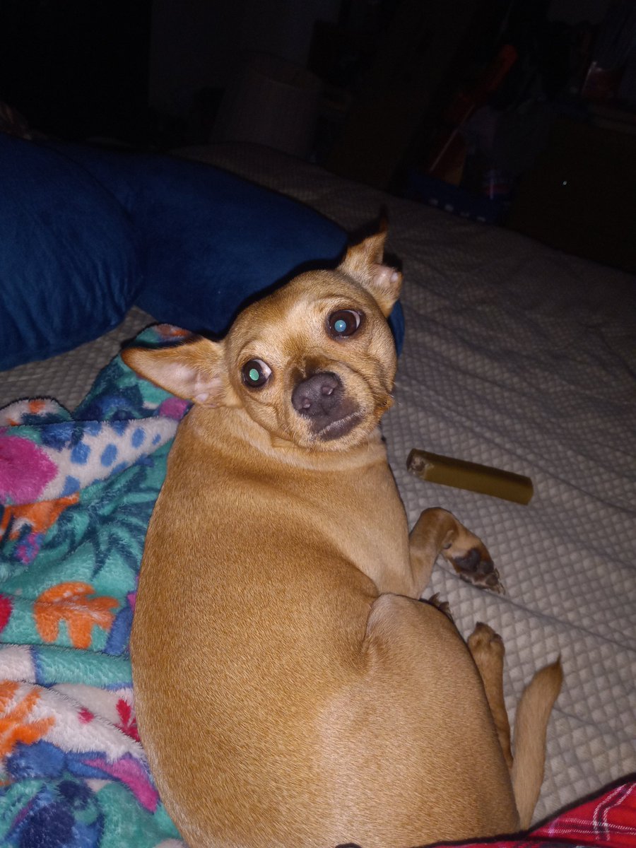 🍑sassypeach08🍑 tweet media