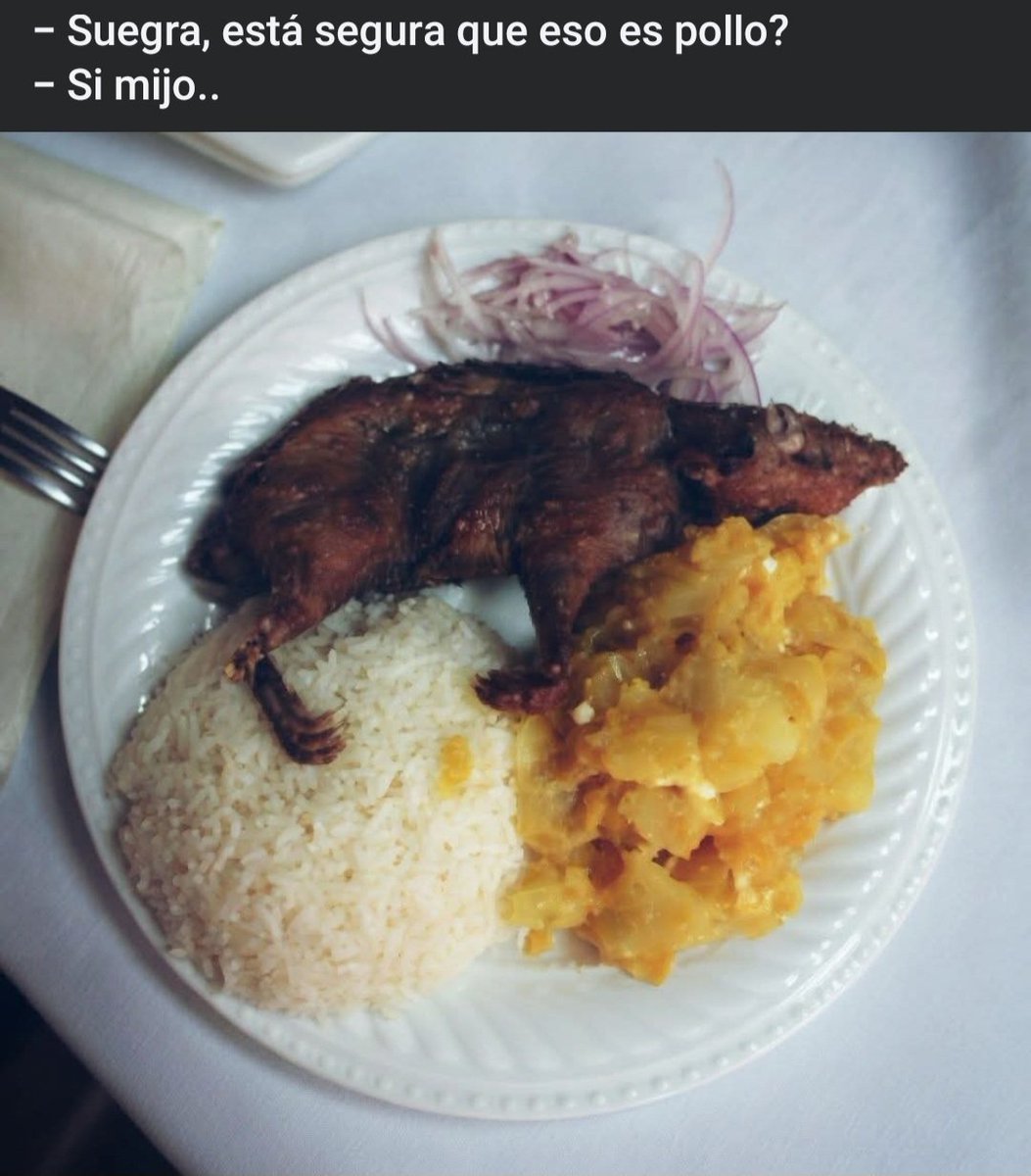 𝙒𝙞𝙡𝙡𝙮_2026 👋👷 tweet media