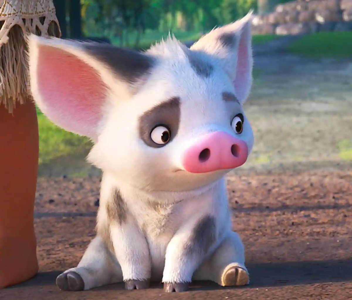 Entre-TÉN tweet media