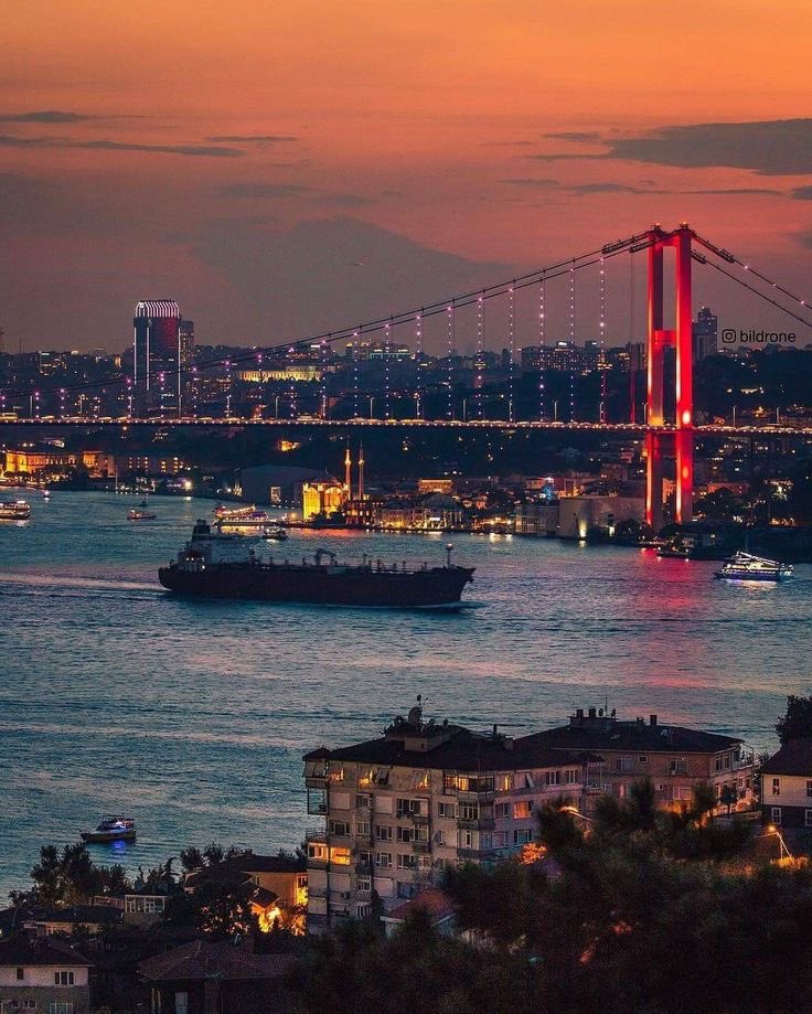 madeev⁷ 🪭 tweet media