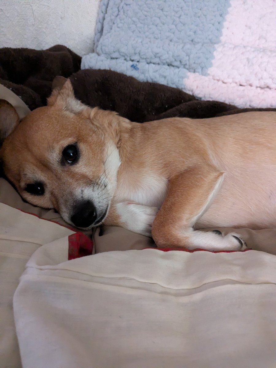 YourMothersMustache tweet media