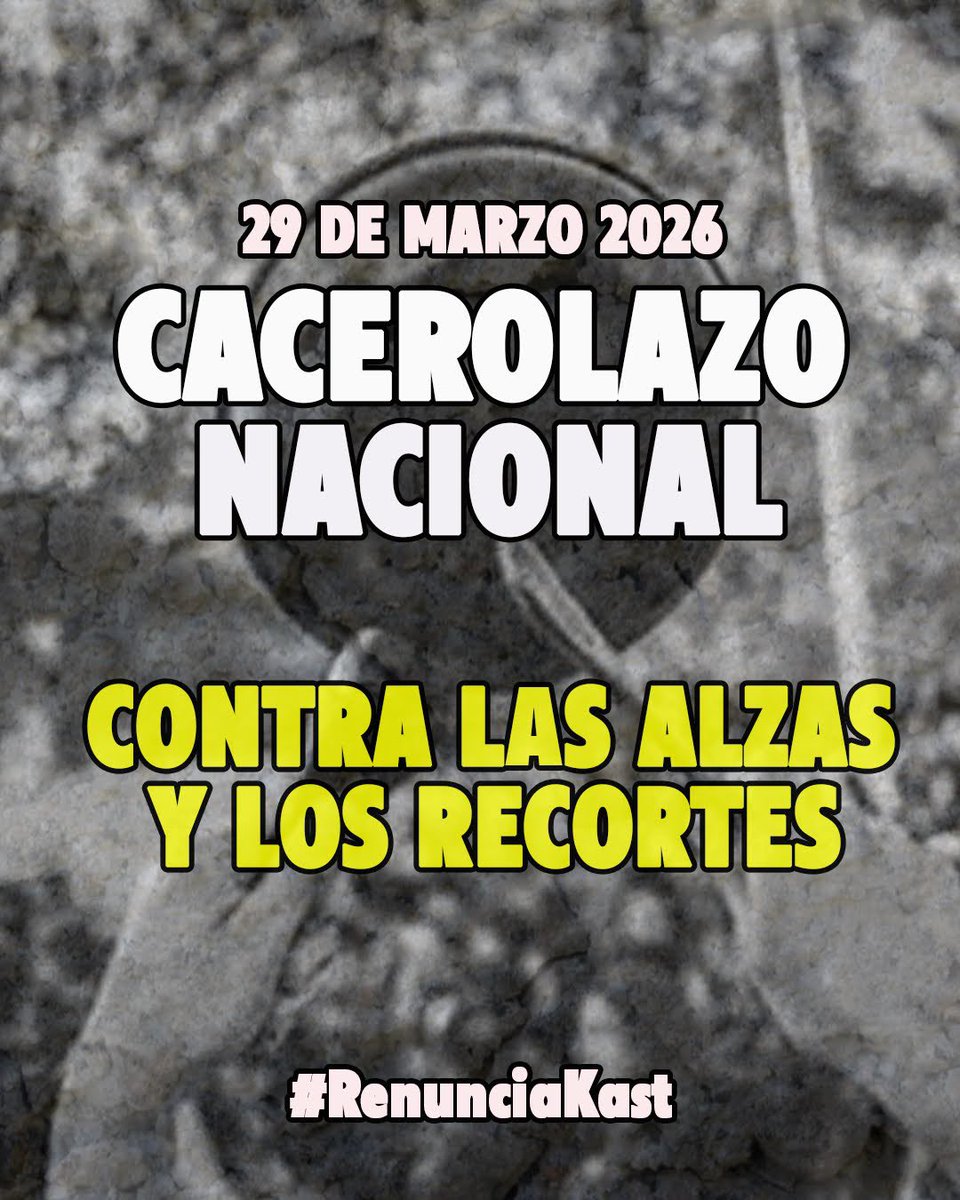 Indígnate_Chile tweet media