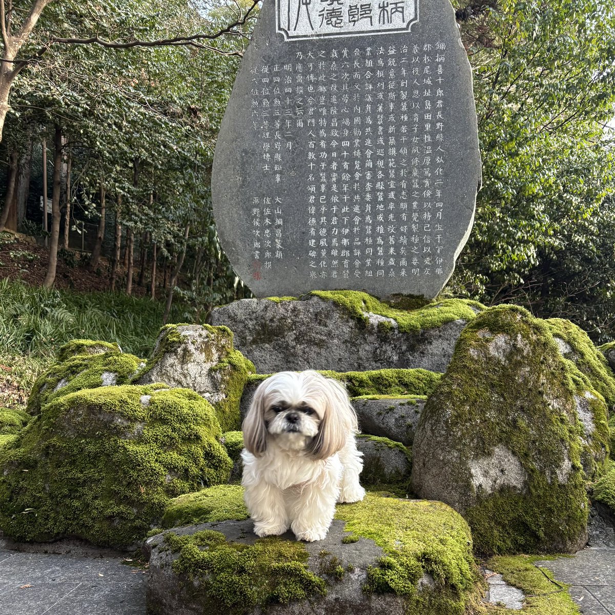 おにまん🐶💕 tweet media