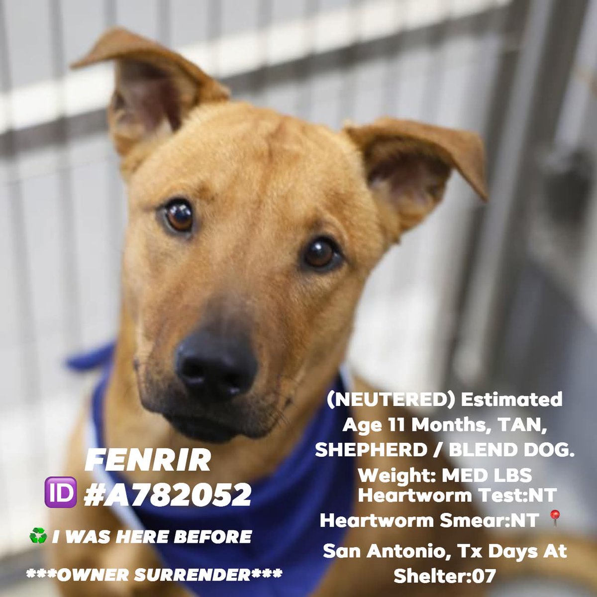 Karma Amore tweet media