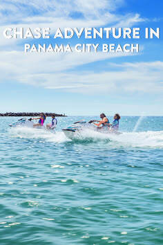 The Beach Network tweet media