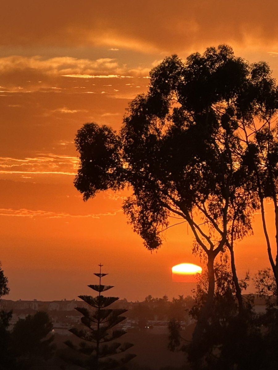 SemperOrantes tweet media