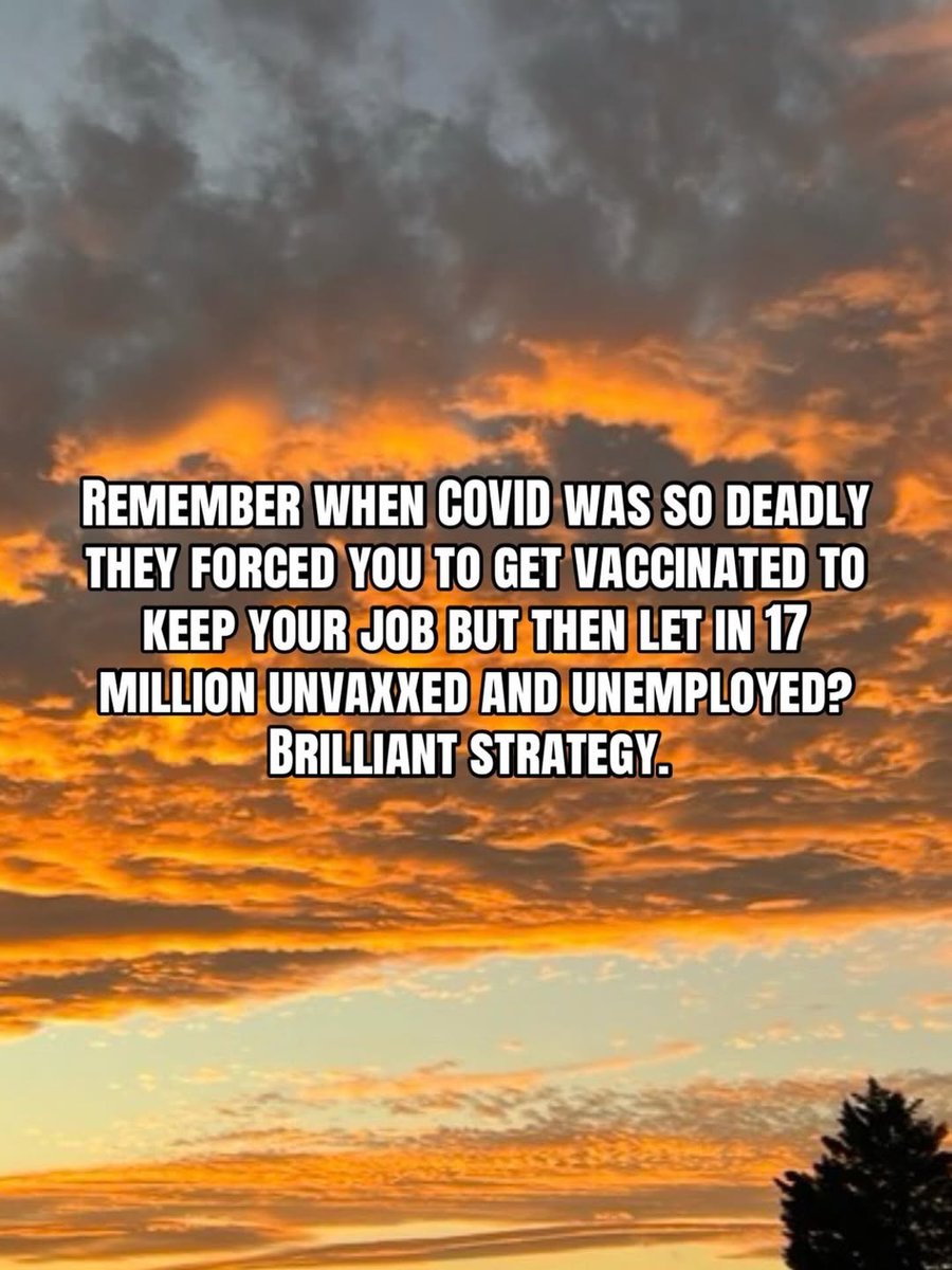 Mr. Star Spangled MAGA tweet media