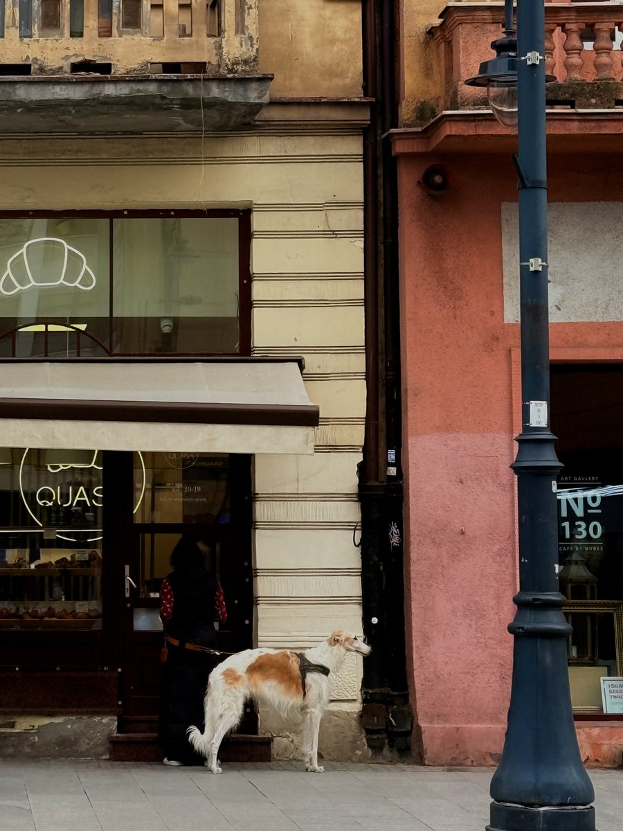 Ирена Карпаччо tweet media