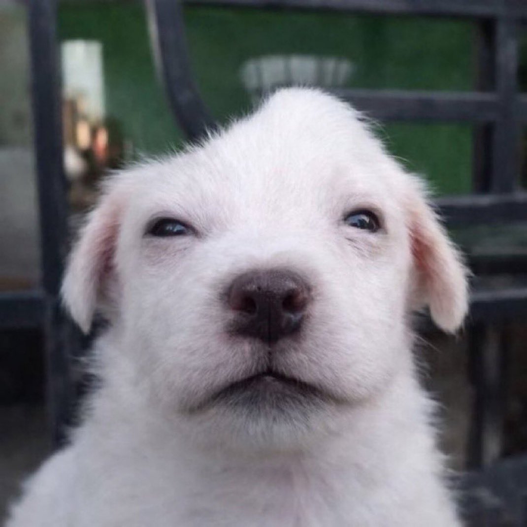 ImKillingIt tweet media