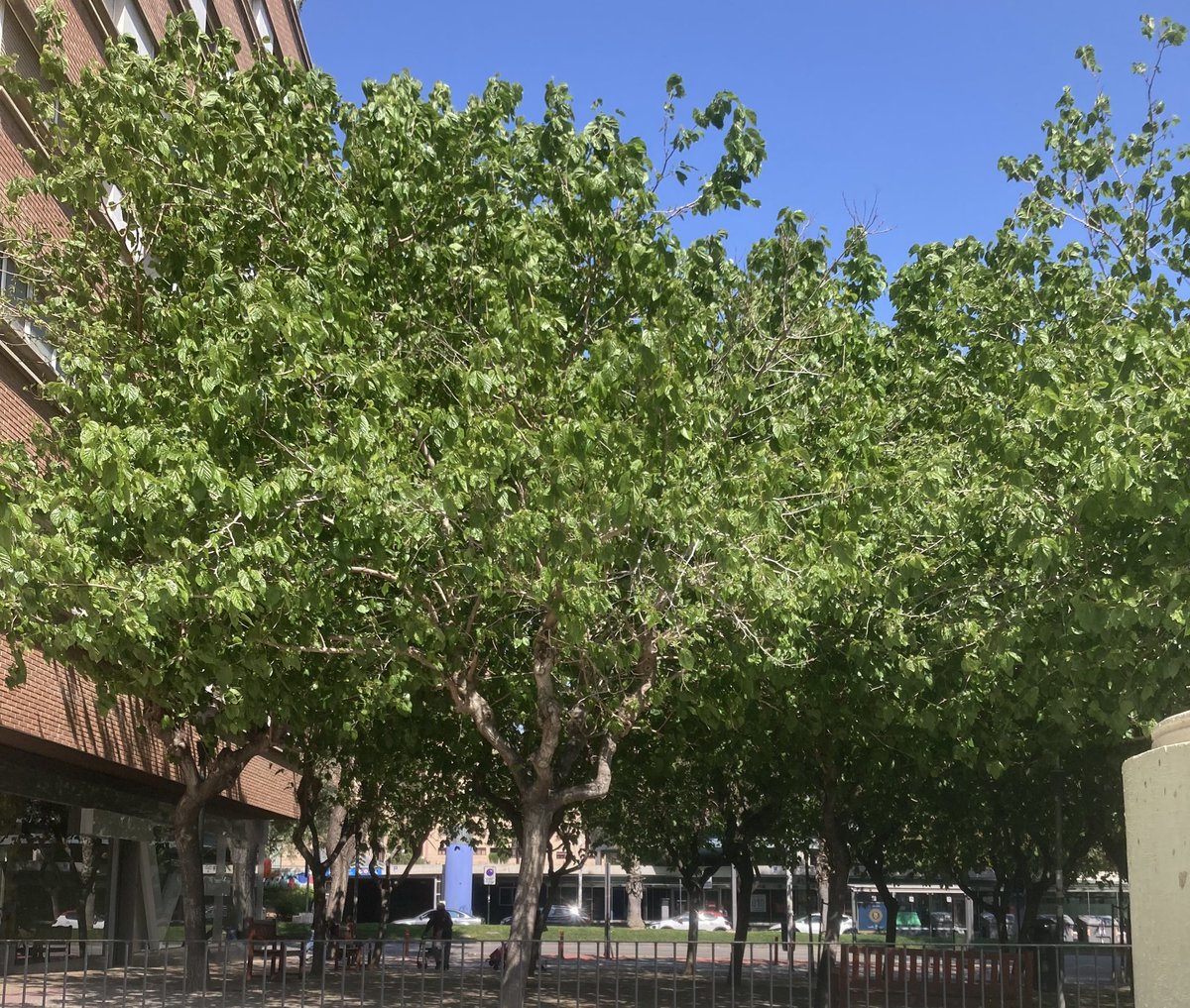 JoseLuisAA 🇪🇺 tweet media