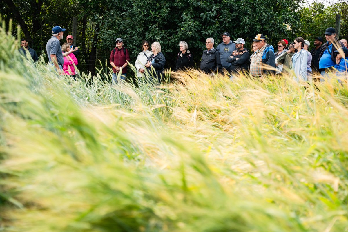 Open Farm Days SK tweet media