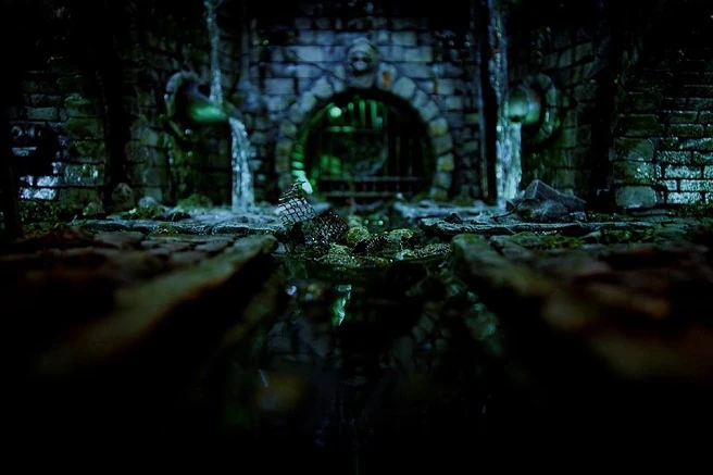 Alejo ✨ tweet media