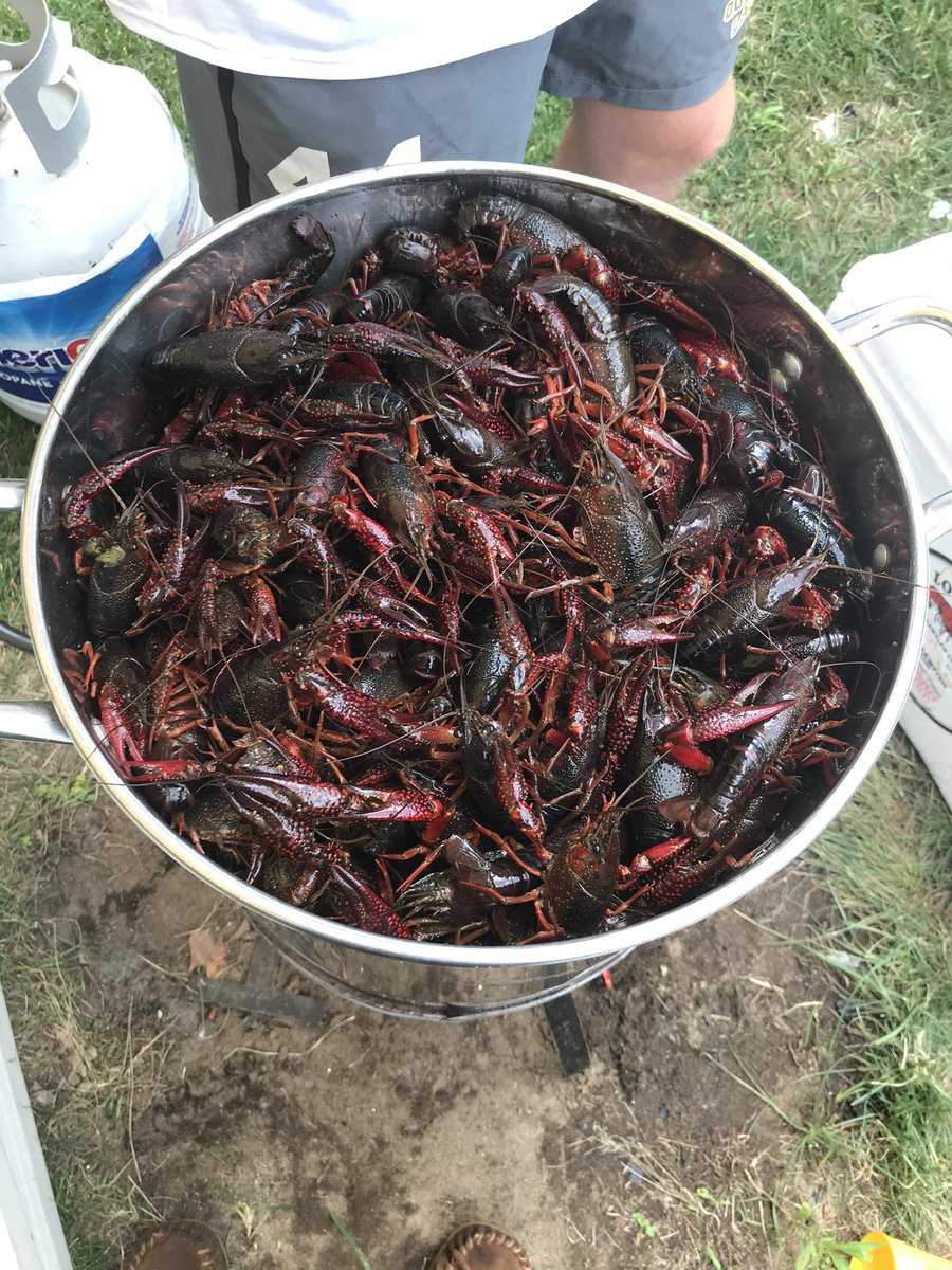 i look this old tweet media