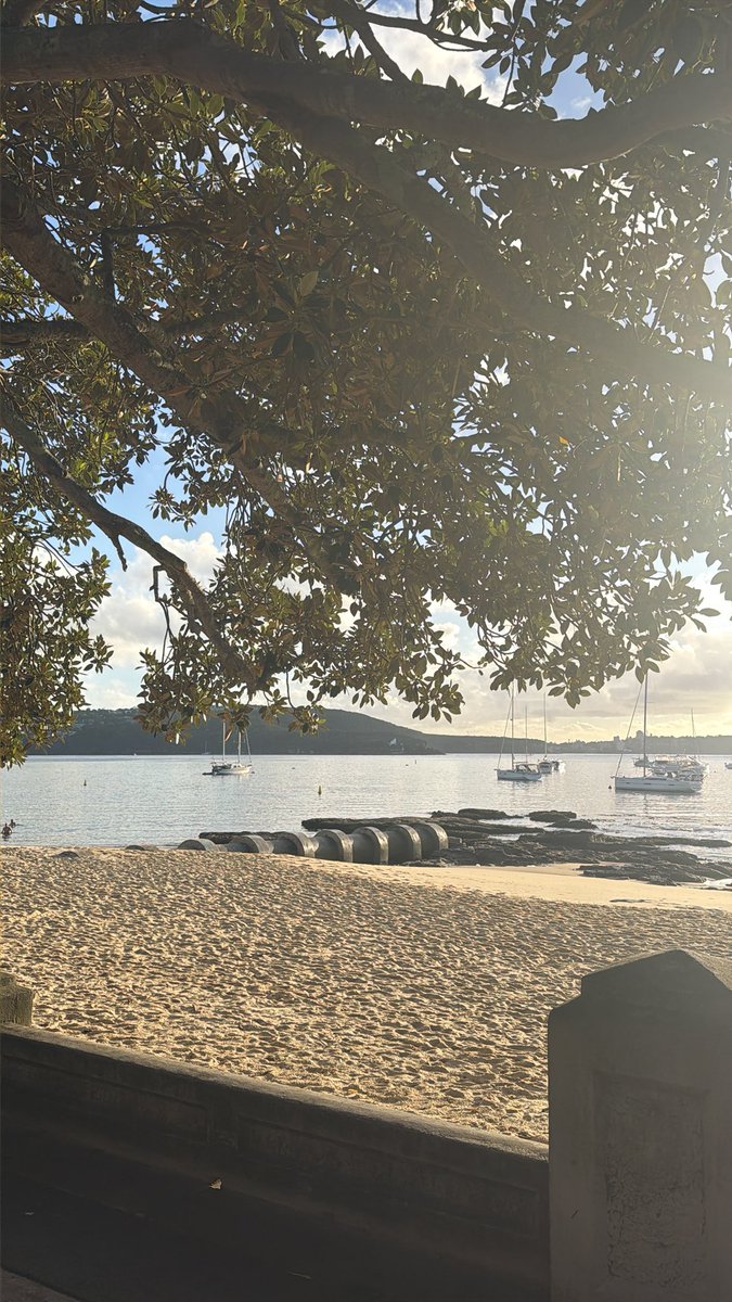 Nick Deflorio tweet media