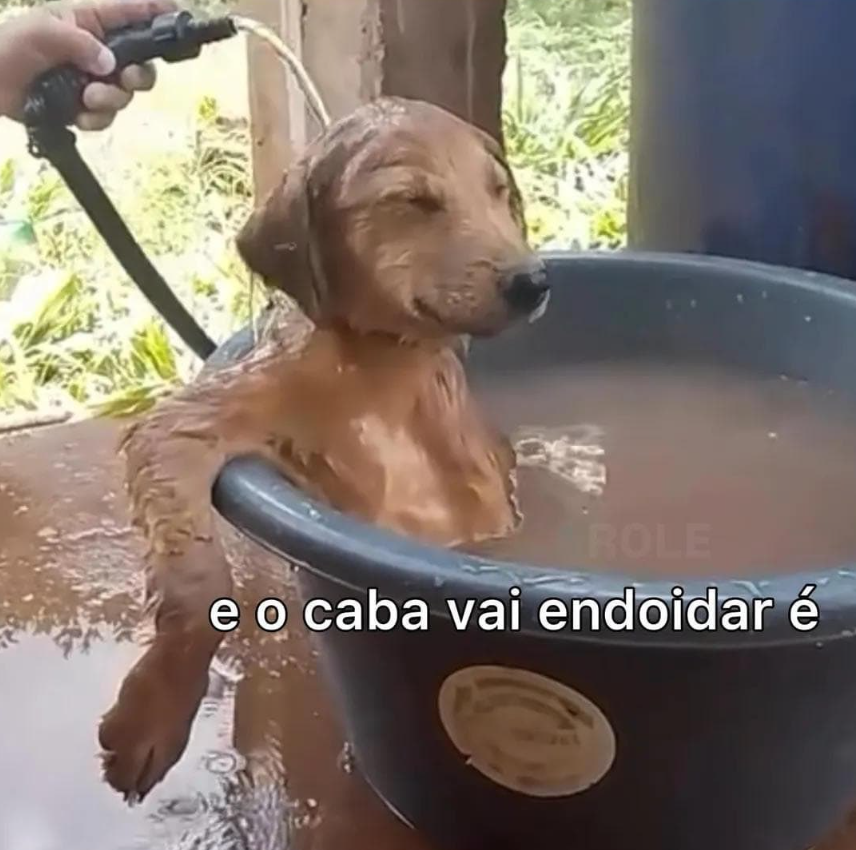 plzin fogo nos racistas 🔥 tweet media