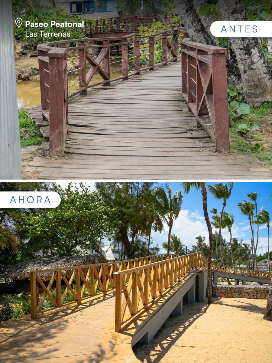 Dario Alexander tweet media