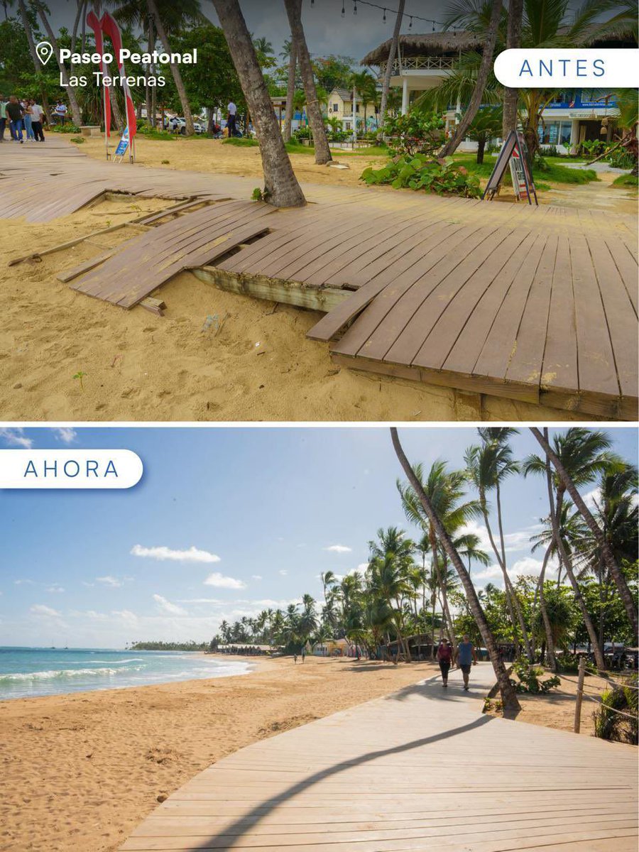 Dario Alexander tweet media