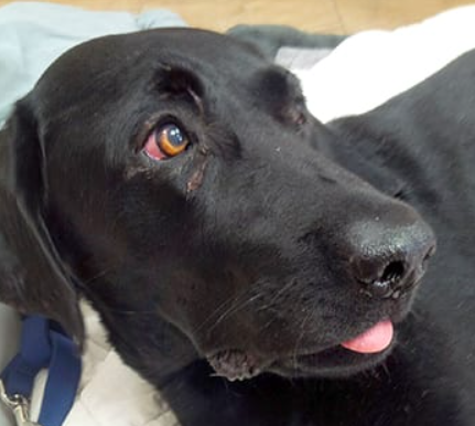 Brad Hunter tweet media