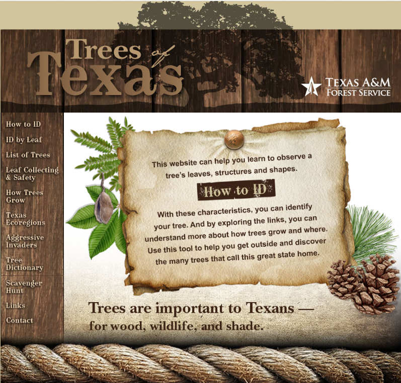 Texas A&M Forest Service tweet media