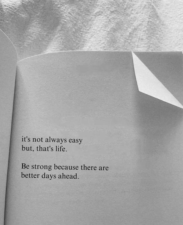 Mindful Maven tweet media