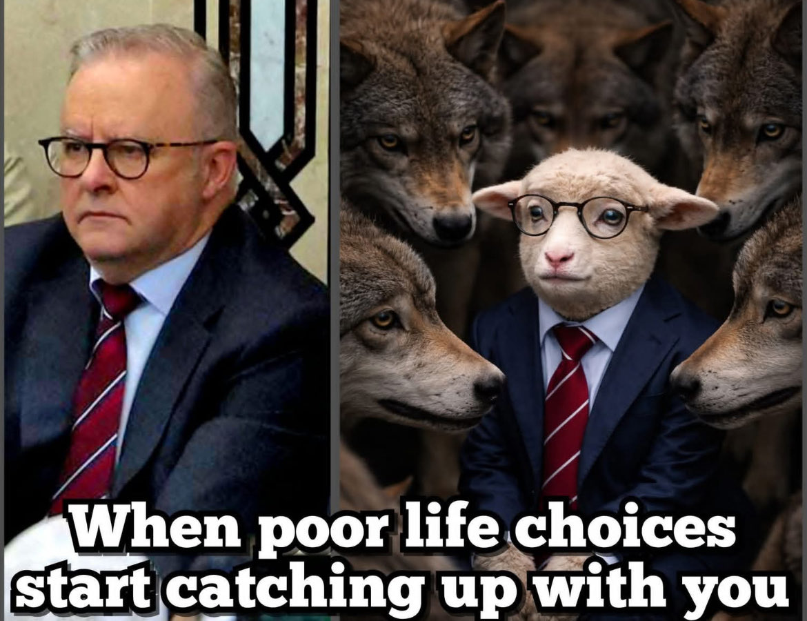 One Nation Army Band tweet media